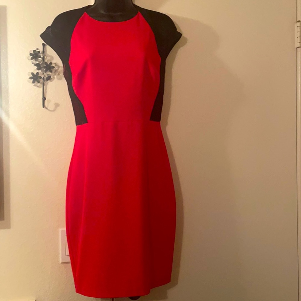 Cache Dress 💃🏻